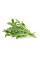 Click and Grow картридж рукола