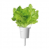 Click and Grow картридж зеленый салат