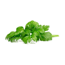 Click and Grow картридж Листовый сельдерей