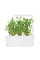 Click&Grow картридж Майоран