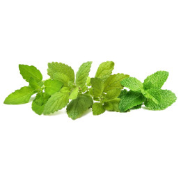 Click and Grow картридж Успокаивающий чай, микс