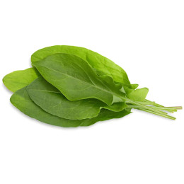 Click and Grow картридж Зеленый щавель