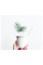 Click and Grow Ялина картридж