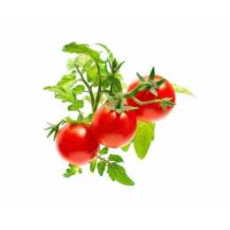 Click and Grow томаты черри картридж