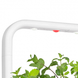 Сменная лампа для Click and Grow Smart Garden 9