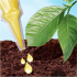 Удобрение аппликатор Compo для цитрусовых растений, 30мл