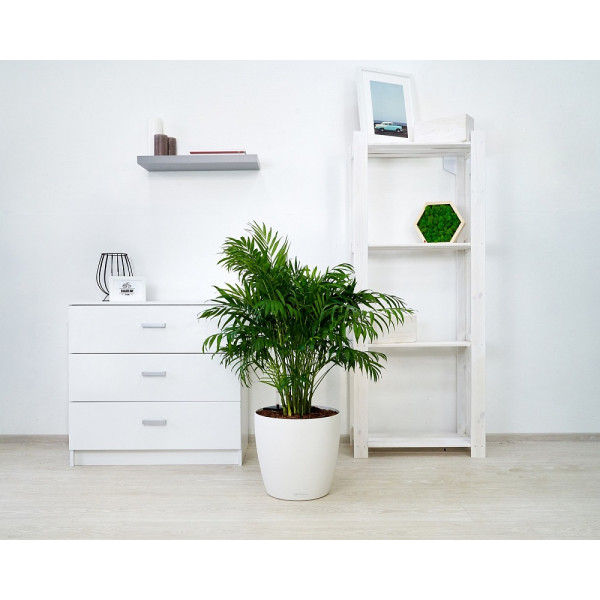 Вазон Lechuza Classico Color 60 Білий, All-in-One
