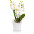 Кашпо Lechuza Orchidea белый матовый