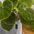 Вазон для рослин Lechuza Trendcover 32 Войлок світло-сірий